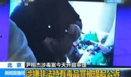 穿刑视频在线观看,在线观看背后的真相与争议