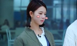 刘维爆料陈瑶完整视频,真相与争议并存